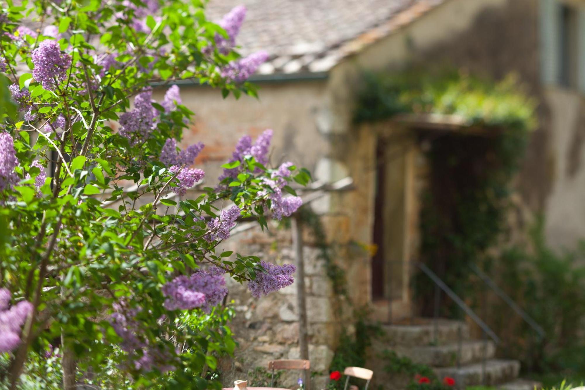 Tenuta Di Spannocchia Rosia Extérieur photo